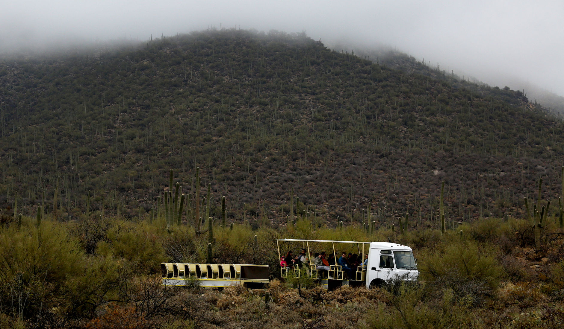 Rainy weather in Tucson